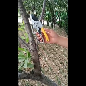 Oright Professional High Carbon Steel Pruning Shears and Garden Hedge Trimming Tools