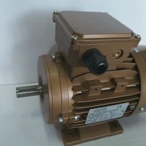 มอเตอร์0.75 แรงม้า 0.55 KW 4Pole 1370 รอบ 230/400V ThreePhase