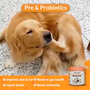 FurryWell Pre & Probiotics 100g | Dog Skin Coat Gut Health Support Supplement