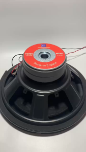 Loa sub 30 MARTIN từ kép 120+120 gân cao su  viền chỉ đỏ - giá 1 cái