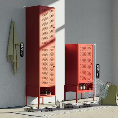 Metal Steel Entranceway Cabinet Outdoor Door Back Storage Shoe Rack Balcony Cabinet Home Use Iron Thin Panel Organizer