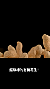 [LOHAS] Organic Red Skin Raw Peanut Kernel 有机红衣花生 500g  红衣花生 花生 Kacang