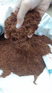 Cocopeat serbuk sabut kelapa media tanam 1 kg