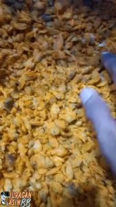 ikan asin remis kerang asin 1 kg murahkerang asin best seller