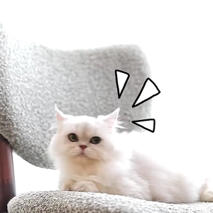ที่ลับเล็บแมว ที่ฝนเล็บแมว กระดาษลูกฟูก ของเล่นแมว ที่ลับเล็บ ข่วนเล็บแมว ลับเล็บตัวL ลับเล็บแมว ฝนเล็บแมว