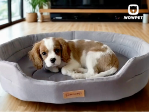 [GEN 2] WOWPET Petfy Love Rest Deluxe Pet Bed | Small Pets Dog Cat Cozy Sleep Cushion Anti-Slip Removable Washable