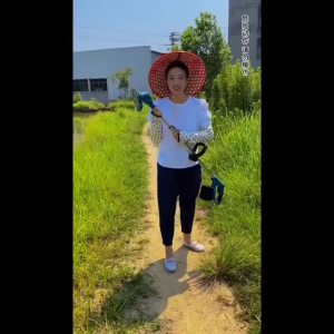 Máy cắt cỏ cầm tay 168V máy cắt cỏ mạnh mẽ kèm pin thích hợp cho việc cắt cỏ sân cỏ dọn cỏ trong nhà