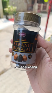 BAwang Tunggal Hitam Premium An-Najaah Original 50 gr Asli | Bawang Lanang