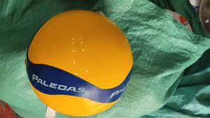 Bóng Chuyền Hơi 250G-300G PALEDAS Chính Hãng Bách Hiền