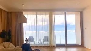 Zemismart Homekit WiFi Curtain System/Tuya WIFI Sliding Drapery Curtain Motor Kit HomePod mini Siri Alexa Voice ControlHome Tuya Smartlife App TimerSmart Slide Curtain LOCAL ship