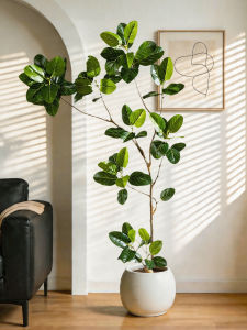 High-end Decorative Artificial Ficus Tree for Indoor Use