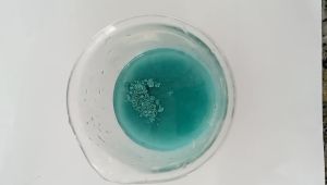 COMBO 5 GÓI MANCOZEB XANH 800   100GR ( TẶNG 2 GÓI BỌ TRĨ ) PHÒNG TRỪ NẤM BỆNH PHỔ RỘNG ĐƯỢC ĐỐI VỚI TẤT CẢ CÂY TRỒNG