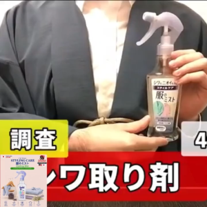 [JAPAN IMPORT] KAO Style Care Clothes Mist 200ml Wrinkle & Odour Remover Spray Fabric Freshener 花王衣物除皱除味喷雾