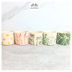 The Leaferie Petit Pots (Series 21) Ceramic pot small flowerpot flower pots planters Succulents
