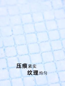 Tả lót vệ sinh huấn luyện Chó mèo Miếng lót cho chó mèo đi vệ sinh Tã Lót Vệ Sinh Cho Chó Mèo