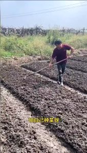 Special fertilizer for agricultural vegetable and fruit tree organic flower fertilizer 蔬菜专用肥盆栽小菜园增根壮苗防病菌颗粒缓释型有机肥料四季通用
