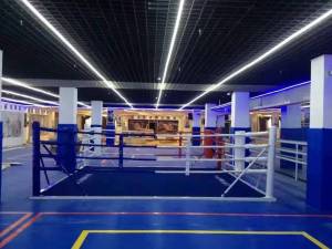 Standard Landing Boxing Ring Simple Fight Platform Competition Martial Arts Training Equipment Fitness Sports Supplies