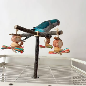🇸🇬 Multifunctional Bird Perch: Natural Molar Stand for Beak and Claw Health