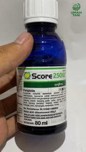 SCORE 250 EC SYNGENTA KEMASAN 80 ML FUNGISIDA ZPT Zat Pengatur Tumbuh Tanaman Obat Jamur Ampuh