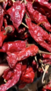 Cili Kering Kurang Pedas/Dry Chilli Less Spicy 50g-100g-200g-500g (Premium Quality)
