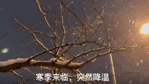 แผ่นทำความร้อนไฟฟ้า ลดอาการปวดกล้ามเนื้อ แผ่นทำความร้อน แผ่นความร้อนผ้าห่มไฟฟ้า Graphene heating pad