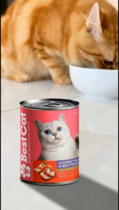 Special Cat Mousse Wet Cat Food 400G (Set of 1) / BestCat Super Premium Cat Mousse Wet Cat Food 430G (Set of 1)