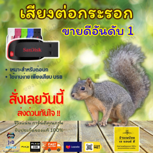 Flash Drive เสียงต่อ กระรอก – คมชัด 6 ชั่วโมง ไม่มีโฆษณา | ส่งด่วน Flash Express | เก็บเงินปลายทาง
