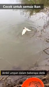 READY JKT - DMPT Umpan Ikan Stimulant - Bubuk Umpan Penarik Ikan Paling Ampuh !!