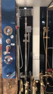 Sen cây sen tắm đứng nóng lạnh thân vuông inox mờ GS8005