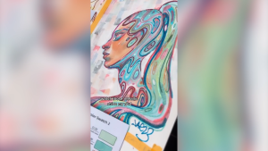 Ohuhu Acrylic Paint Markers 24 Metallic Colors 30 Pens: Dual Tips (Round & Fine) Acrylic Markers High Opacity Paint Pens Waterproof Lightfast for Rock Painting Eggs Wood Glass Ceramic - Kakaako