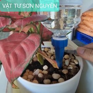 Dụng Cụ Tưới Cây Nhỏ Giọt Tự Động gắn chai - Đầu tưới nhỏ giọt gắn Chai - Vòi tưới cây nhỏ giọt gắn chai nhựa