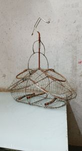 lụp khuyên ốc mít