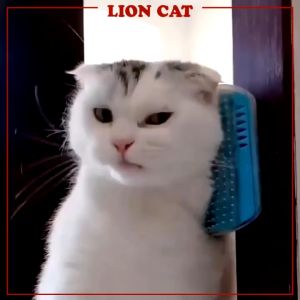 Pet Cat Self Grooming Massage Brush Wall Corner Comb