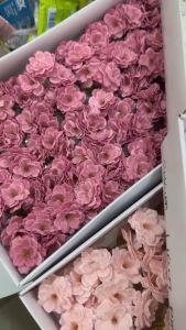 SAKURA CHERRY Soap Flower Bouquet With Base - Fragrant Scented Decor, 50PCS - Bunga Sabun Wangi Hiasan - 9CM Size +/-, NO MIX COLOR, 1 BOX 1 COLOR ONLY, SHIPS FROM MALAYSIA 🇲🇾