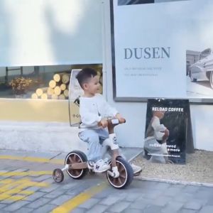 🦁TinyLion🦁 จักรยานขาไถ สามล้อเด็ก จักรยานทรงตัว ฝึกทรงตัว สองล้อปั่นหลายสี 1-4 ขวบรถขาไถเด็ก