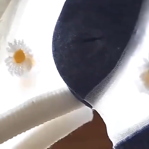 Daisy Kaos Kaki Pendek Transparan Motif Bunga Kaus Kaki Wanita Dewasa Korea Fashion