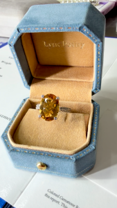 Montagne Jewelry Natural Natural Yellow quartz Citrine Ring for women Four Claw Design Fine Jewellery 925 Silver Ring