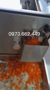 Máy thái hạt lựu công nghiệp 300kg/h - 4 bộ dao nhiều kích cỡ