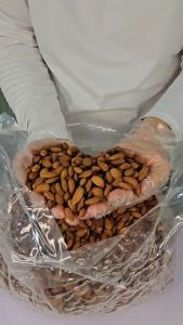 Fresh Roasted Almond Nuts Salted Kacang Badam Panggang Segar 500g and 1kg