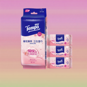 Tempo | Portable Antibacterial & Cleaning Wipes