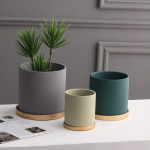 Nordic Style Ceramic Flower Pot with Tray Large Size for Butterfly Orchid Succulent Modern Individual Potted Plant