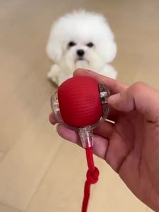 hipidog | Đồ Chơi Nhai Bền Tự Động Lấy Bóng Cho Chó