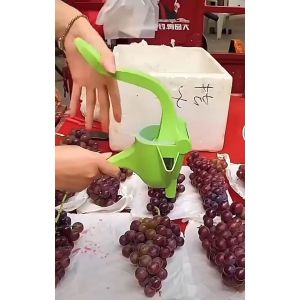 Dụng cụ ép hoa quả bằng tay ép hoa quả cầm tay máy ép trái cây ép tắc cầm tay -Aeneas Shop