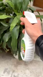 Xịt Đuổi Rệp Cho Cây Cảnh Thảo Mộc 10S Faster 500ml Loại Bỏ Rệp Sáp Rệp Xanh Rệp Vàng An Toàn Hiệu Quả