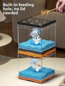 KUOTING | Betta Fish Desktop Aquarium 2026 New Design Multi-Section Creative Ornament