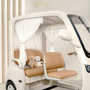 Sunscreen Sun Protection Curtain For Trike