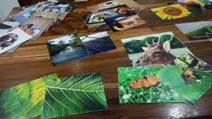 FOTO BEBAS ROYALTI. Foto yang hanya dengan sekali beli pembeli dapat menggunakannya untuk berbagai keperluan tanpa dikenai kewajiban tambahan untuk membayar royalti.