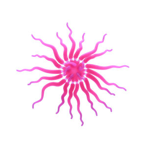 Colorful sunflower-shaped coral with a suction cup on the back for free adsorption (needs to be adsorbed on the wall of the fish