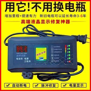 Pulse Maintenance Battery Charger Repairer for Electric Vehicles 48V 60V 72V Lead Acid Battery Activator Starving Repair Tool