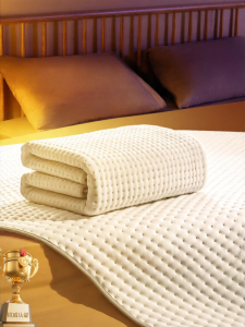 TOMONI | Double Control Temperature Adjustable Electric Blanket